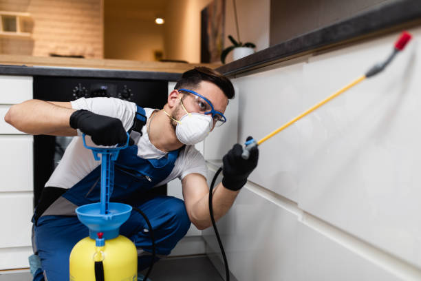 Wildlife Control Services in Olyphant, PA
