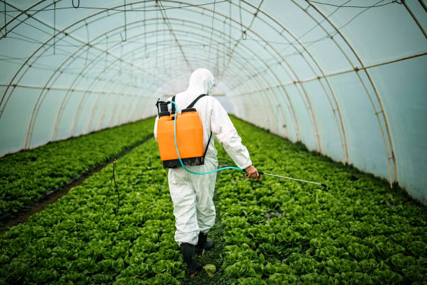 Best Affordable Pest Control Services  in Olyphant, PA