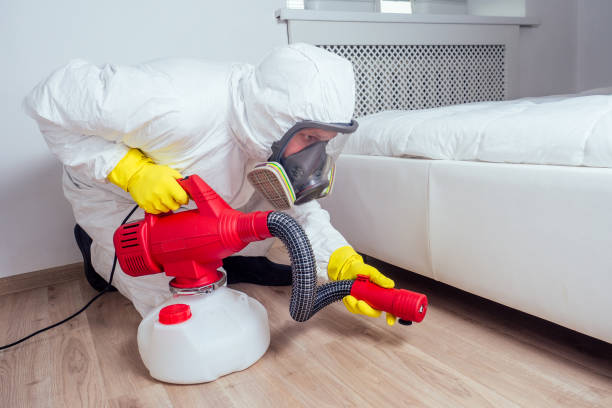 Professional Pest Control in Olyphant, PA