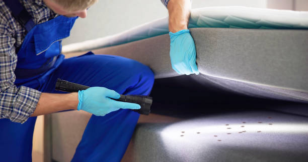 Best Pest Inspection Near Me  in Olyphant, PA
