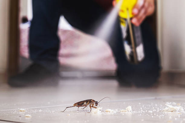 Best Commercial Pest Control Services  in Olyphant, PA